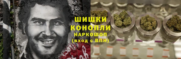 ПСИЛОЦИБИНОВЫЕ ГРИБЫ Волосово