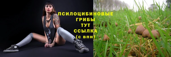 MDMA Premium VHQ Куйбышев