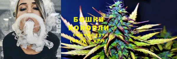 ПСИЛОЦИБИНОВЫЕ ГРИБЫ Волосово